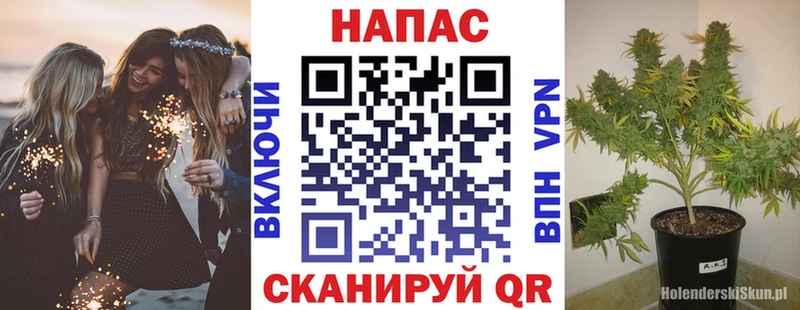 МАРИХУАНА гибрид  Лесозаводск 